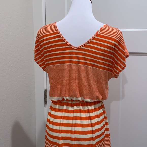 Pink Rose Striped Dress - Picture 7 of 12